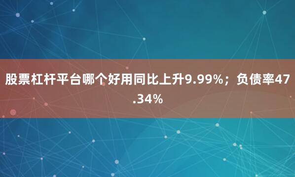 股票杠杆平台哪个好用同比上升9.99%；负债率47.34%