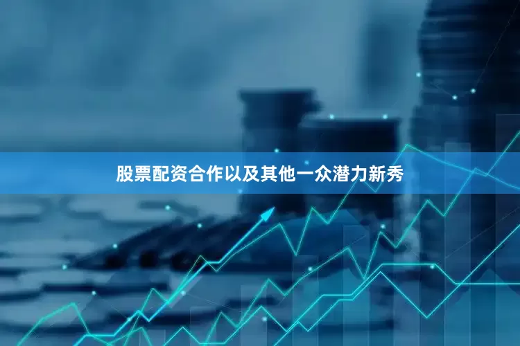 股票配资合作以及其他一众潜力新秀