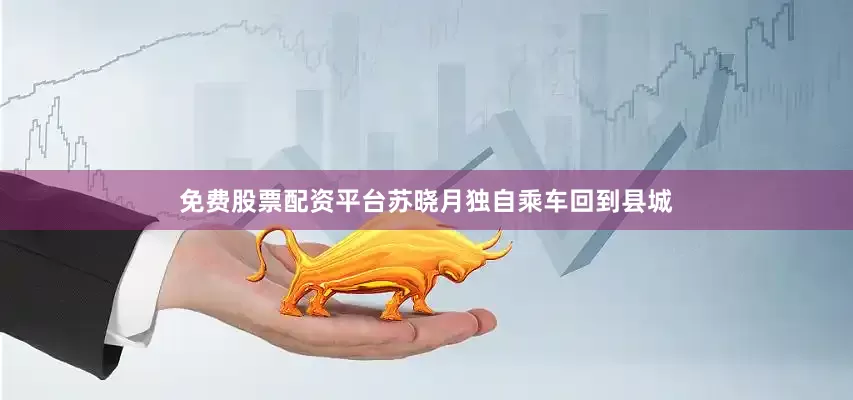 免费股票配资平台苏晓月独自乘车回到县城