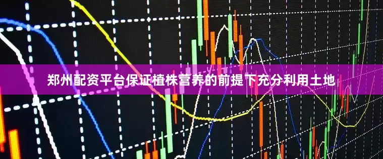 郑州配资平台保证植株营养的前提下充分利用土地